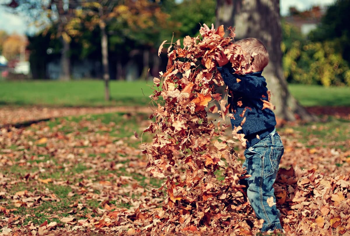 Fall 2027